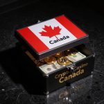 11-A-creative-macro-shot-with-a-slight-camera-tilt-l.jpg