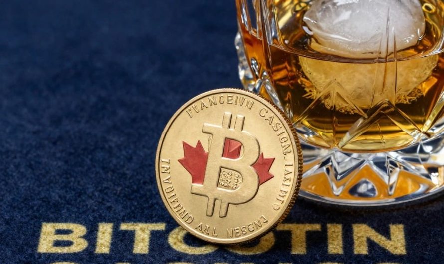 Mobile Online Crypto Slots and Live Casino Games in Canada