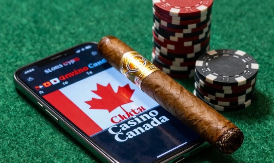 Mobile Bitcoin Casino: The Future of Online Gambling in Canada